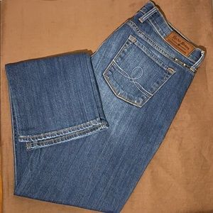 Lucky Brand Sofia Straight jeans size 10 size 30